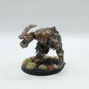 Warhammer Age of Sigmar: Skaven Rat Ogres - Well Painted (AC195)