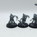 Warhammer Age of Sigmar: Flesh Eater Courts Cryptguard (BA181)