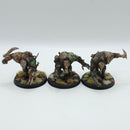 Warhammer Age of Sigmar: Skaven Rat Ogres - Well Painted (AE150)