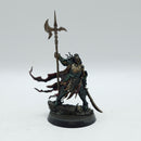 Warhammer Quest Cursed City: Watch Captain Halgrim - Painted (AD235)