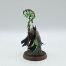 Warhammer Age of Sigmar: Soulblight Gravelords Necromancer - Well Painted (AC106)