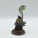 Warhammer Age of Sigmar: Soulblight Gravelords Necromancer - Well Painted (AC106)