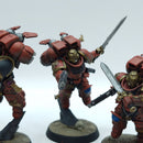 Warhammer 40k: Space Marine Blood Angels Vanguard Veterans - Painted (BR014)