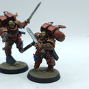 Warhammer 40k: Space Marine Blood Angels Vanguard Veterans - Painted (BR014)