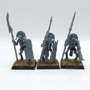 Warhammer The Old World: Tomb Kings of Khemri Tomb Guard (BJ042)