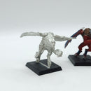 Warhammer The Old World: Warriors of Chaos Metal Furies (AW214)