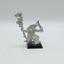 Warhammer The Old World: Lizardmen Metal Skink Priest (AT192)