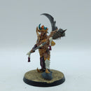Warhammer Age of Sigmar: Hedonites of Slaanesh Lord of Pain (AC254)