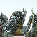 Warhammer 40k: Death Guard Blightlord Terminators - Painted (AT011)