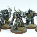 Warhammer 40k: Death Guard Blightlord Terminators - Painted (AT011)