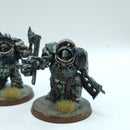 Warhammer 40k: Death Guard Blightlord Terminators - Painted (AT011)