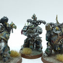 Warhammer 40k: Death Guard Plague Marines - Painted (BP131)