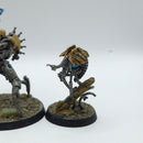 Warhammer 40k: Necrons Skorpekh Destroyers - Painted (BC123)
