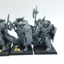 Warhammer The Old World: Warriors of Chaos Chaos Warriors (AA180)