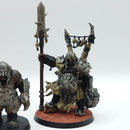 Warhammer Age of Sigmar: Ogor Mawtribes Tyrant and Gluttons (AO026)