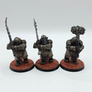 Warhammer Age of Sigmar: Ogor Mawtribes Ironguts - Painted (BJ114)