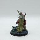 Warhammer Age of Sigmar: Maggotkin of Nurgle Lord of Plagues (BJ109)
