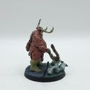 Warhammer Age of Sigmar: Maggotkin of Nurgle Lord of Plagues (BJ109)