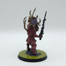 Warhammer Age of Sigmar: Maggotkin of Nurgle Poxbringer (AE227)