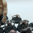 Warhammer Lord of the Rings: Goblin Town Army - Well Painted (BR086)