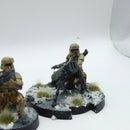 Star Wars Legion: Empire Shoretroopers - Painted (AI154)