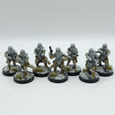 Star Wars Legion: Empire Snowtroopers - Painted (AC144)