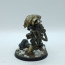 Warhammer Adeptus Titanicus: Cerastus Knight Castgators - Well Painted (BP011)