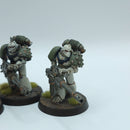 Warhammer Horus Heresy: Space Marines Death Guard Heavy Support Squad - Well Painted (AH125)