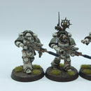 Warhammer Horus Heresy: Space Marines Death Guard Converted Nemesis Rifles - Well Painted (BJ182)