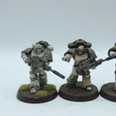 Warhammer Horus Heresy: Space Marines Death Guard Converted Nemesis Rifles - Well Painted (BC059)