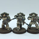 Warhammer Horus Heresy: Space Marines Death Guard Converted Nemesis Rifles - Well Painted (BC059)