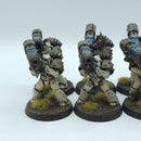 Warhammer Horus Heresy: Space Marines Death Guard Heavy Support Squad - Well Painted (AW084)