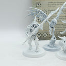 Warhammer Age of Sigmar: Ossiarch Bonereapers Warcry Teratic Cohort (AT085)