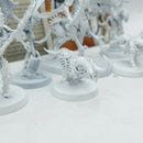 Warhammer Age of Sigmar: Ossiarch Bonereapers Warcry Teratic Cohort (AT085)