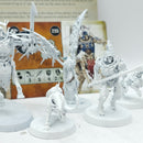 Warhammer Age of Sigmar: Ossiarch Bonereapers Warcry Teratic Cohort (AT085)