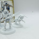 Warhammer Age of Sigmar: Ossiarch Bonereapers Warcry Teratic Cohort (AT085)