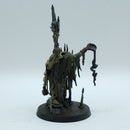 Warhammer Age of Sigmar: Orruk Warclans Swampcalla Shaman with Pot-Grot (BN094)