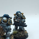 Warhammer Horus Heresy: Space Marines World Eaters Custom Characters - Well Painted (BP038)