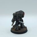 Warhammer Horus Heresy: Space Marines Space Wolves Terminator Apothecary - Well Painted (BJ010)
