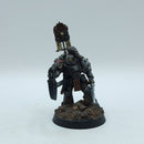 Warhammer Horus Heresy: Space Marines Space Wolves Converted Praetor - Well Painted (BJ254)