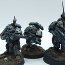 Warhammer Horus Heresy: Space Marines Space Wolves Reconnaissance Squad - Well Painted (BN002)