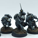 Warhammer Horus Heresy: Space Marines Space Wolves Reconnaissance Squad - Well Painted (BN002)