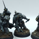 Warhammer Horus Heresy: Space Marines Space Wolves Reconnaissance Squad - Well Painted (BN002)