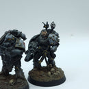 Warhammer Horus Heresy: Space Marines Space Wolves Reconnaissance Squad - Well Painted (BN002)
