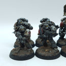 Warhammer Horus Heresy: Space Marines Space Wolves Tactical Squad - Well Painted (BN021)