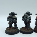 Warhammer Horus Heresy: Space Marines Space Wolves Tactical Squad - Well Painted (BN022)