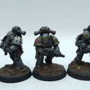 Warhammer Horus Heresy: Space Marines Space Wolves Tactical Squad - Well Painted (BN022)