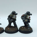Warhammer Horus Heresy: Space Marines Space Wolves Tactical Squad - Well Painted (BN022)