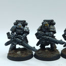 Warhammer Horus Heresy: Space Marines Space Wolves Support Squad - Well Painted (BN006)
