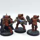 Warhammer 40k: Astra Militarum Tempestus Scions - Painted (BA126)